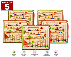 Magnetic Maze Adventure